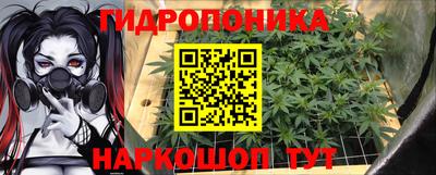 прущие грибы Краснокаменск