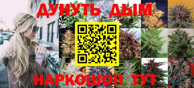 прущие грибы Краснокаменск