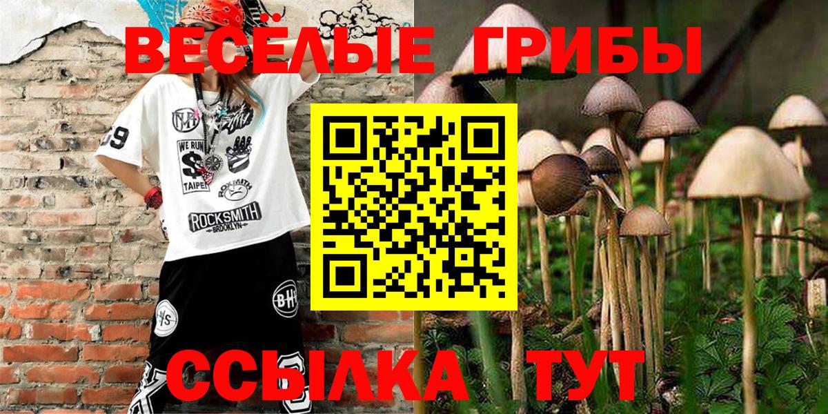 Псилоцибиновые грибы ЛСД  Вход с VPN  Кировск  Псилоцибиновые грибы прущие грибы 
